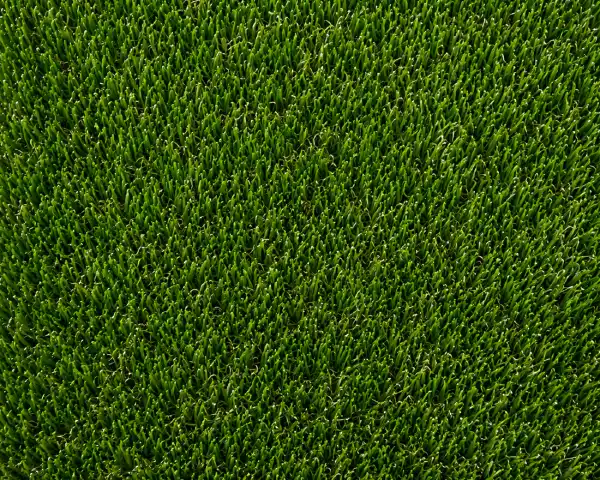 Medium Pile (25mm)